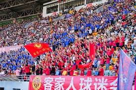 麦克托米奈谈意甲冠军经历与未来目标